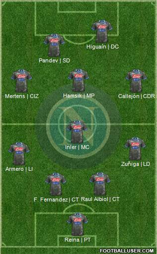 Napoli Formation 2013