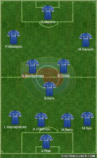 Miedz Legnica Formation 2013