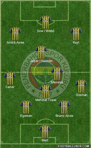 Fenerbahçe SK Formation 2013