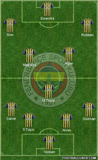 Fenerbahçe SK Formation 2013