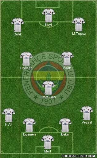 Fenerbahçe SK Formation 2013