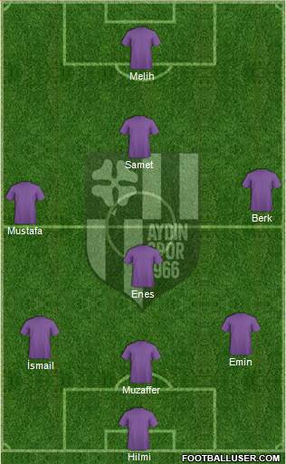 Aydinspor Formation 2013