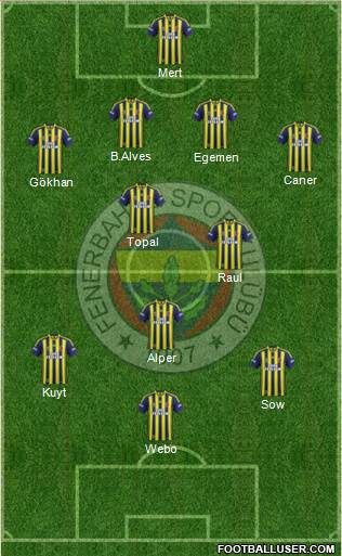 Fenerbahçe SK Formation 2013