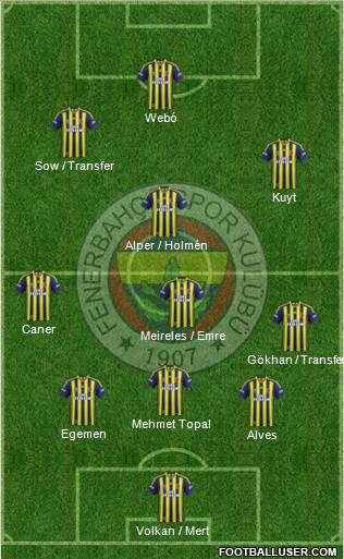Fenerbahçe SK Formation 2013