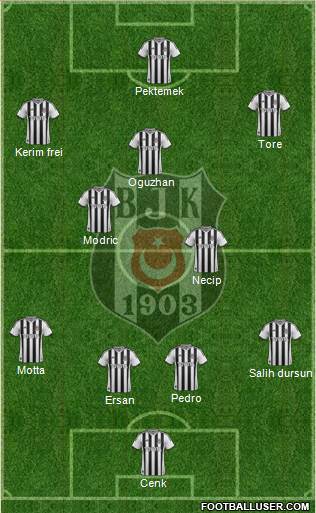 Besiktas JK Formation 2013