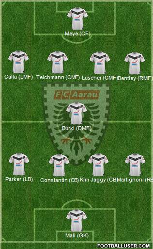 FC Aarau Formation 2013