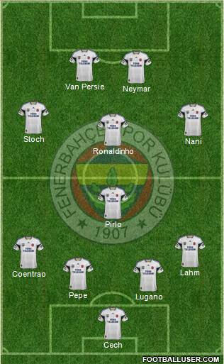 Fenerbahçe SK Formation 2013
