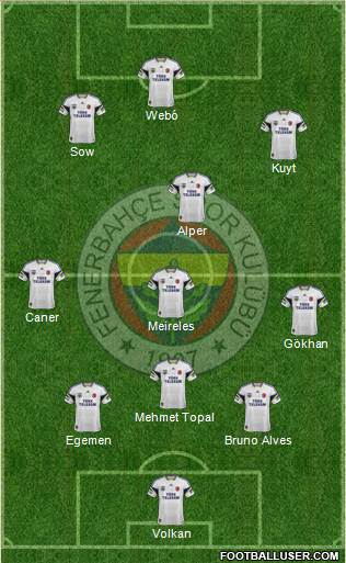 Fenerbahçe SK Formation 2013
