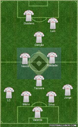 Hamburger SV Formation 2013
