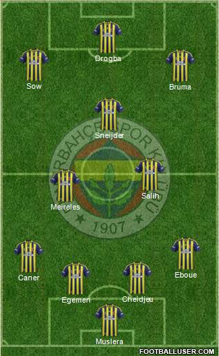 Fenerbahçe SK Formation 2013