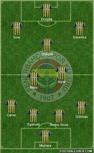 Fenerbahçe SK Formation 2013
