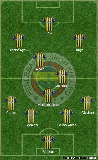 Fenerbahçe SK Formation 2013