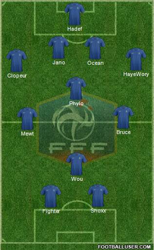 France Formation 2013