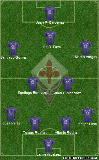 Fiorentina Formation 2013