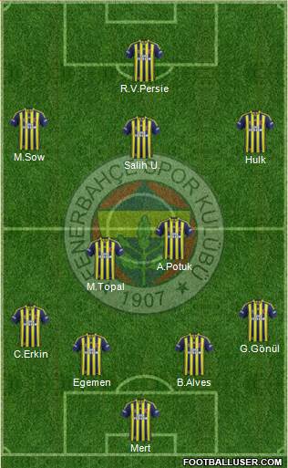 Fenerbahçe SK Formation 2013