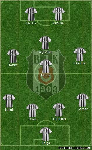 Besiktas JK Formation 2013