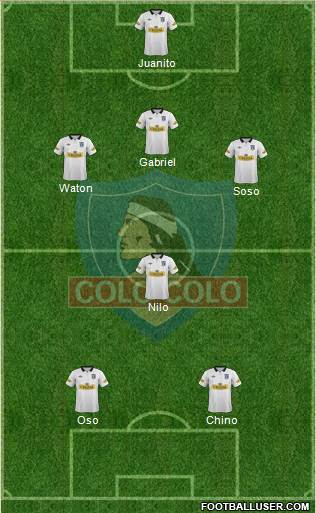 CSD Colo Colo Formation 2013