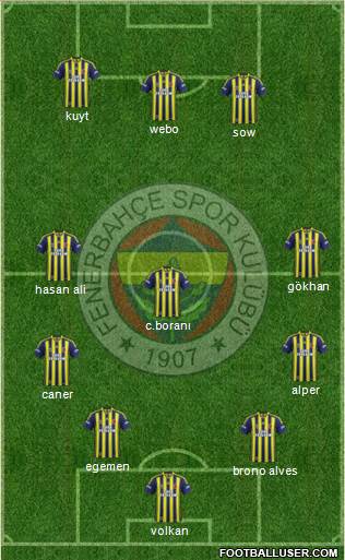 Fenerbahçe SK Formation 2013