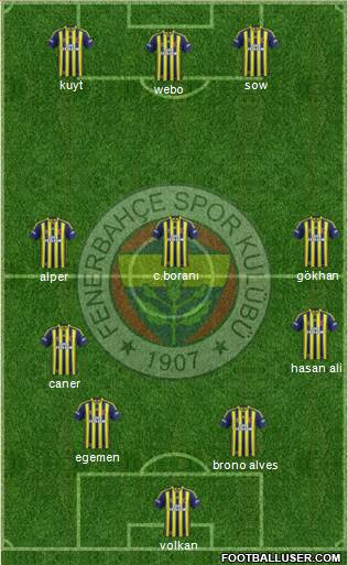 Fenerbahçe SK Formation 2013