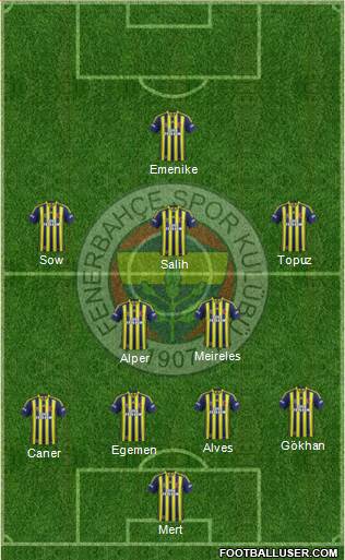 Fenerbahçe SK Formation 2013