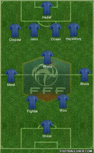 France Formation 2013