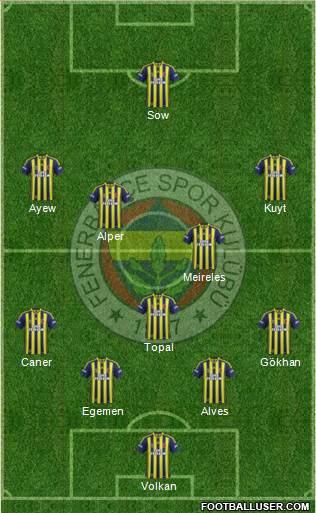 Fenerbahçe SK Formation 2013