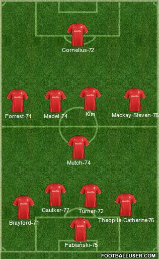 Cardiff City Formation 2013