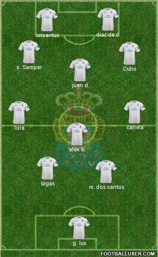 U.D. Las Palmas S.A.D. Formation 2013