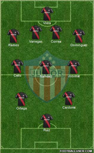 CPD Junior Formation 2013
