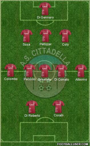 Cittadella Formation 2013