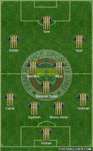 Fenerbahçe SK Formation 2013