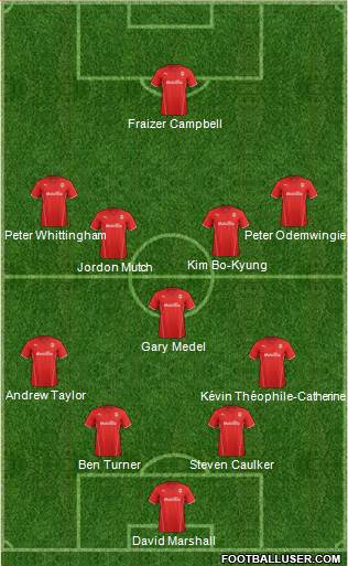 Cardiff City Formation 2013