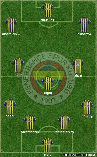 Fenerbahçe SK Formation 2013
