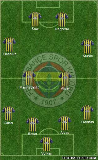 Fenerbahçe SK Formation 2013