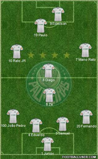 SE Palmeiras Formation 2013