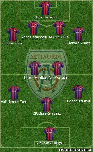 Altinordu Formation 2013