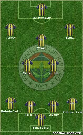 Fenerbahçe SK Formation 2013