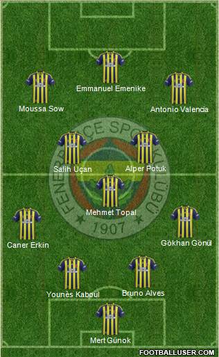 Fenerbahçe SK Formation 2013