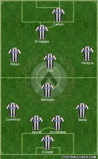 Udinese Formation 2013