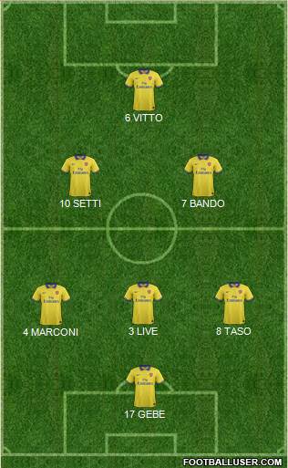 Arsenal Formation 2013