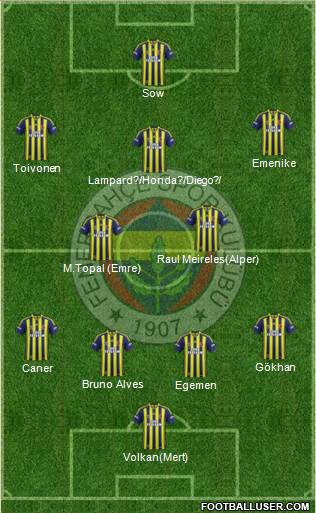 Fenerbahçe SK Formation 2013