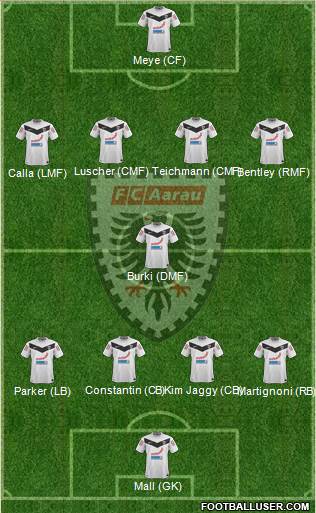 FC Aarau Formation 2013