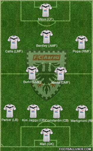 FC Aarau Formation 2013