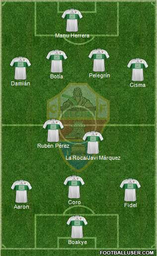 Elche C.F., S.A.D. Formation 2013