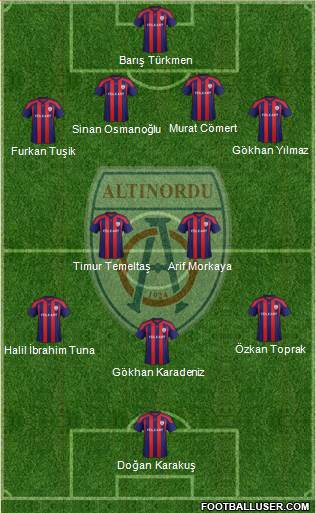 Altinordu Formation 2013