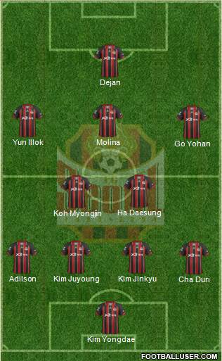 FC Seoul Formation 2013
