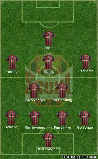 FC Seoul Formation 2013