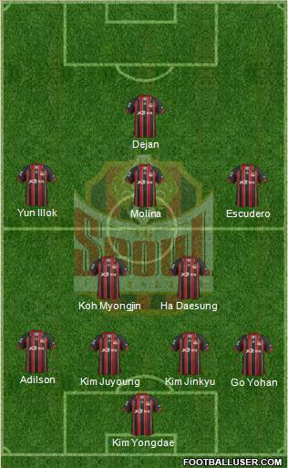 FC Seoul Formation 2013