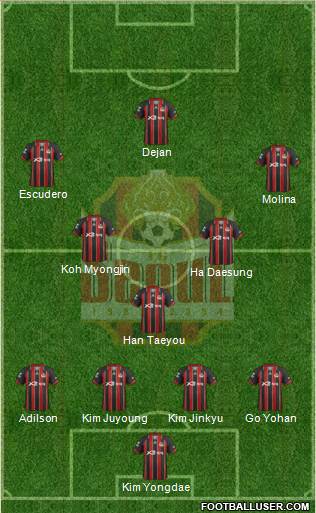 FC Seoul Formation 2013