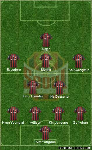 FC Seoul Formation 2013